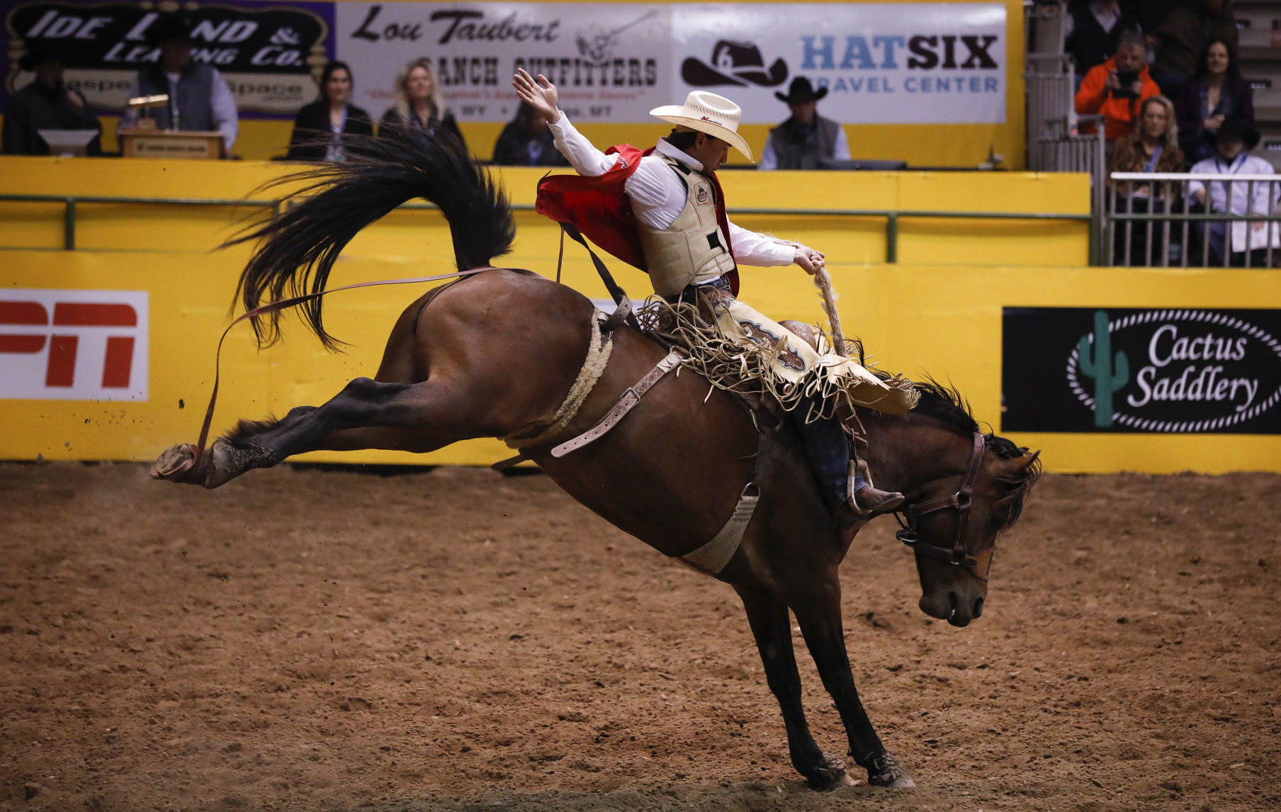 CNFR - Tuesday